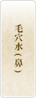 毛穴水(鼻)