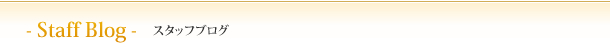 - Staff Blog - スタッフブログ